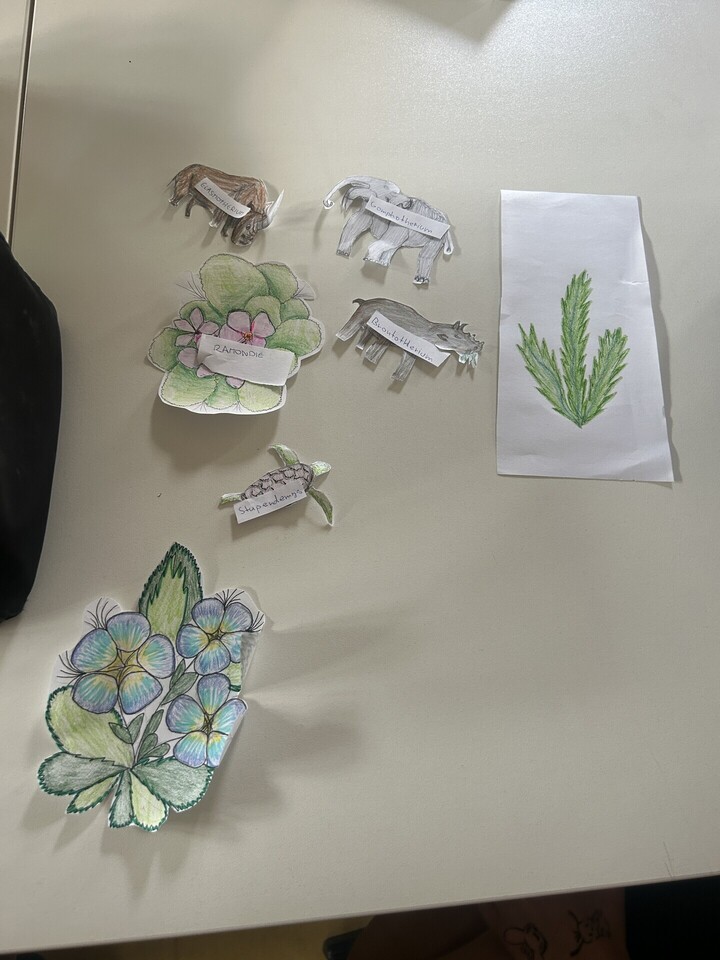 20260511_101206490_iOS 1.jpg