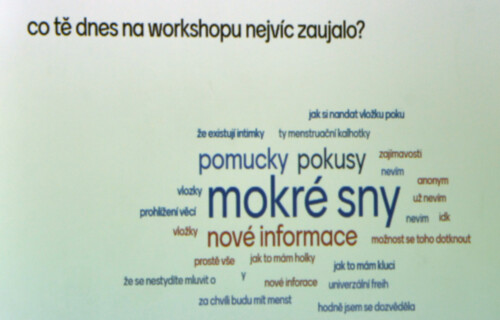 Workshop o dospívání