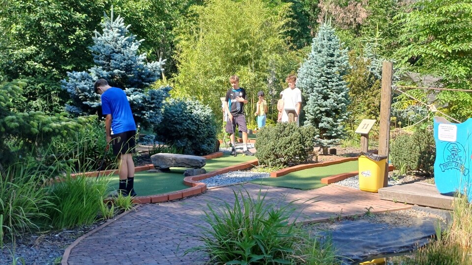 20260619_094201.jpg