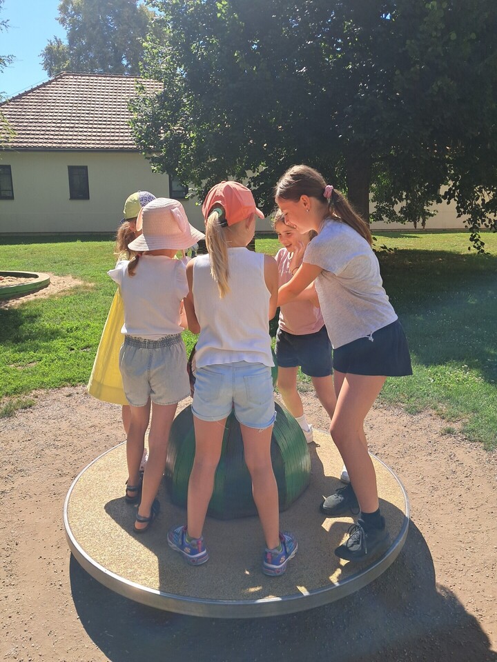 20260625_102352.jpg