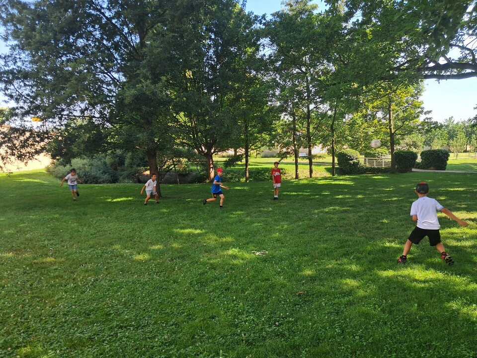 20260625_102442.jpg