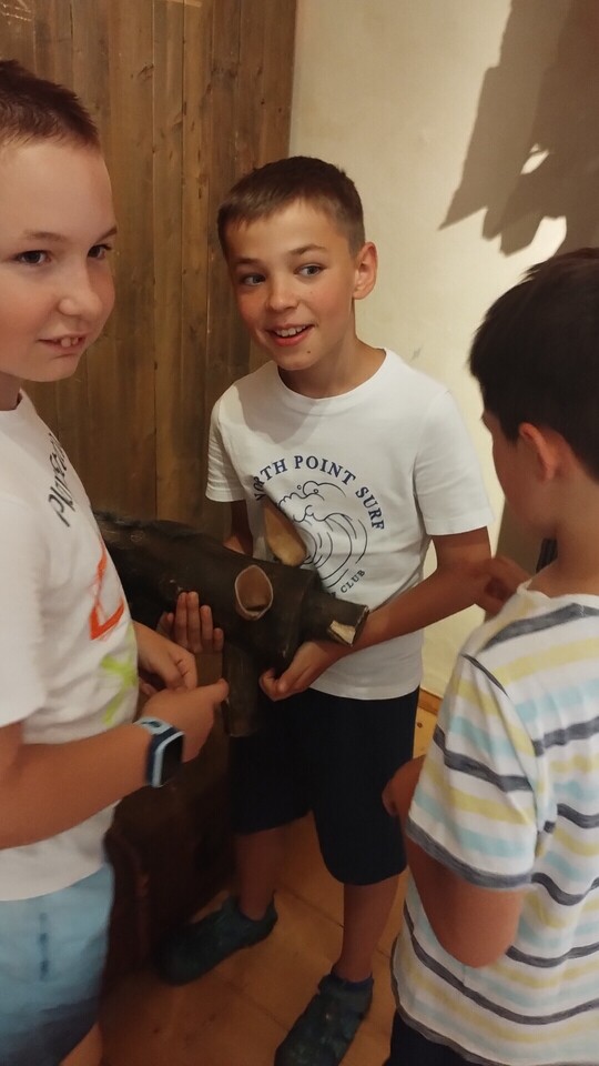 IMG_20260625_101833749.jpg