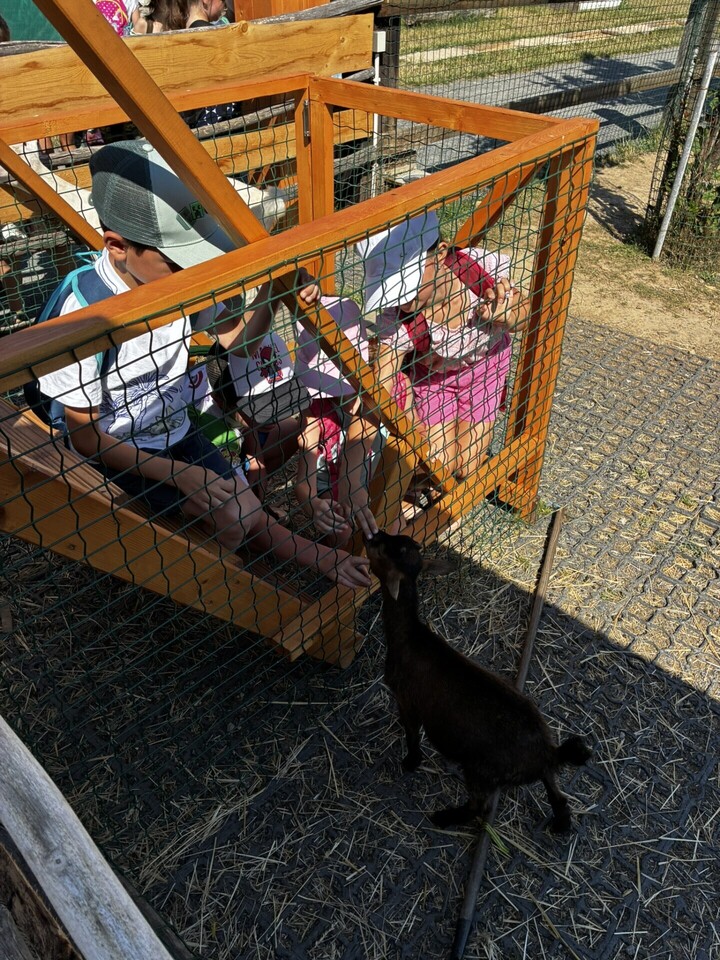 IMG_1098.JPEG
