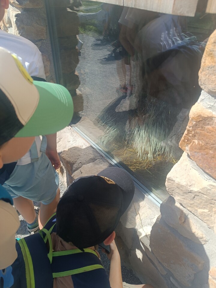 IMG_20260625_101733.jpg