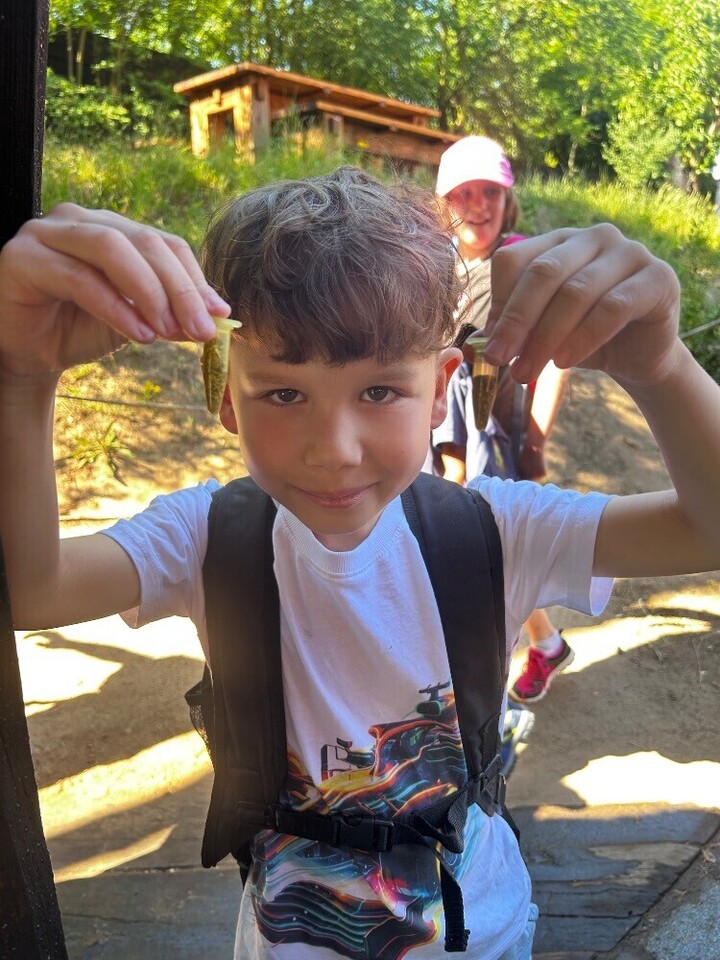 IMG_5440.jpeg